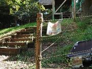 りほほんさんの岩屋展望台の投稿写真1