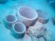 優さんのDIVING SHOP RYAAANへの投稿写真3
