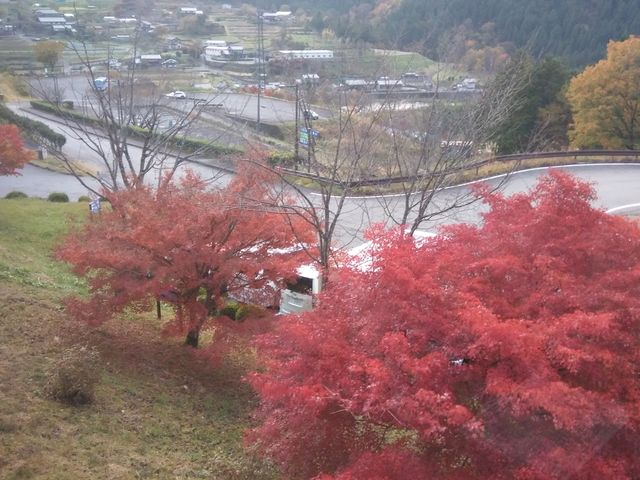 部屋から見た紅葉です。真っ赤です
_美輝の里 スパー美輝 ホテル美輝