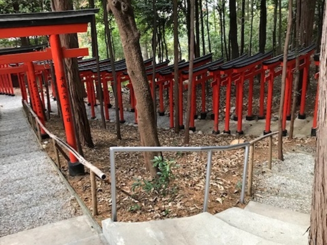 規模は小さくとも個人的には楽しめる光景ですね_二川伏見稲荷