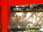 こぼらさんの佐藤春夫「望郷五月歌」詩碑の投稿写真1