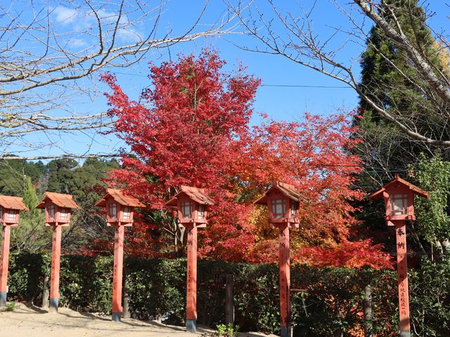倉敷市 由加山蓮台寺_蓮台寺