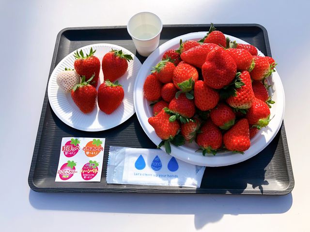 このようなセットです_こばやし農園