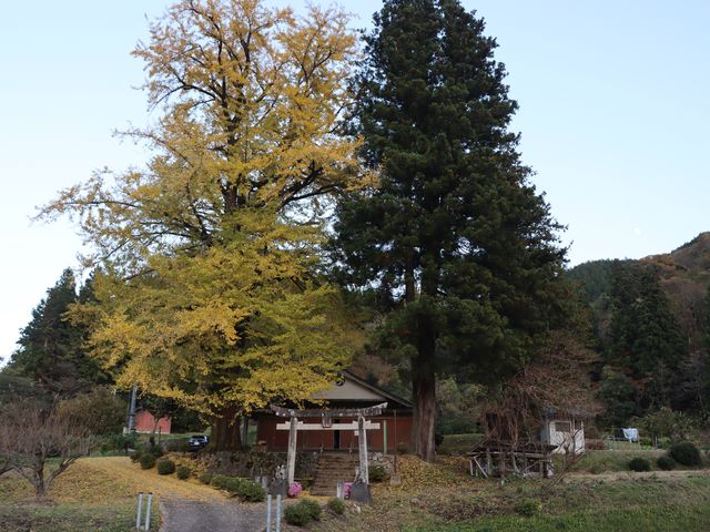 島根県美郷町 光八幡宮_光八幡宮