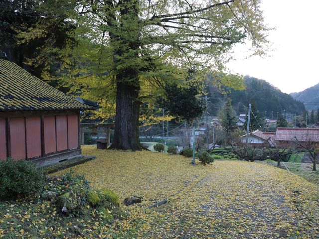 島根県美郷町 光八幡宮_光八幡宮