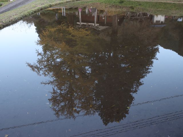 島根県美郷町 光八幡宮_光八幡宮