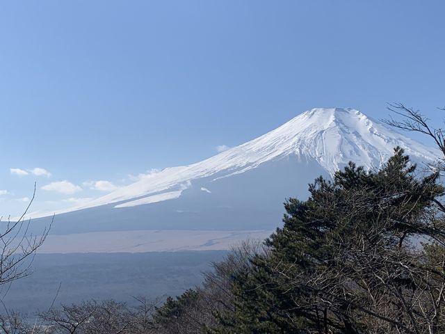 食事前にホテルの中庭から撮影しました_ホテルマウント富士