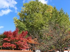 一期一会さんの浄善寺への投稿写真1