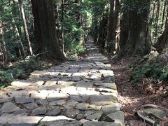 ああああさんの熊野古道 大門坂への投稿写真1