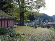 一期一会さんの光八幡宮の投稿写真2