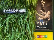 ウッキーさんのキャナルシティ劇場の投稿写真1