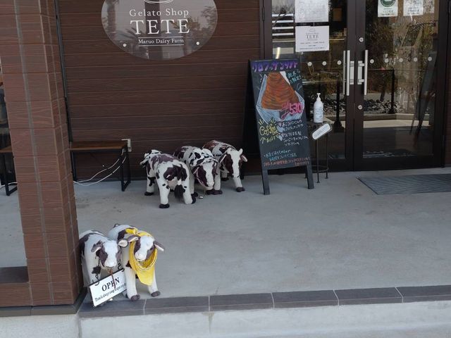 お店の外にも中にも、牛の小物がたくさんです_Gelato Shop TETE