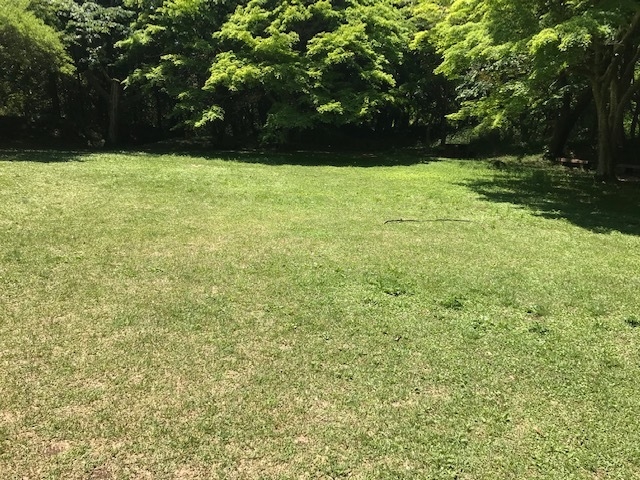 安定の本丸跡_都立滝山公園 滝山城址