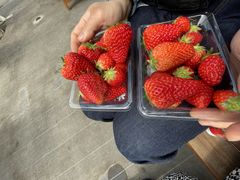 関根農園の写真1