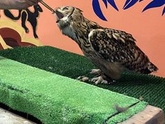 めぐさんのアクアフォレスト -水の森-への投稿写真1