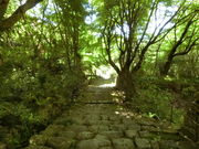 やんまあさんの桑實寺(桑峰薬師堂)の投稿写真1