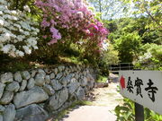 やんまあさんの桑實寺(桑峰薬師堂)の投稿写真1