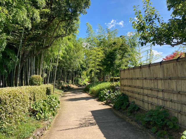竹林園_竹林園