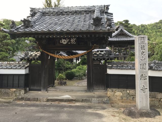 Shotaさんの円融寺の投稿写真1