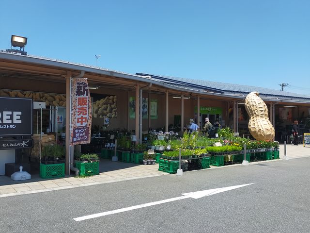 大きな落花生が目印_道の駅 木更津 うまくたの里