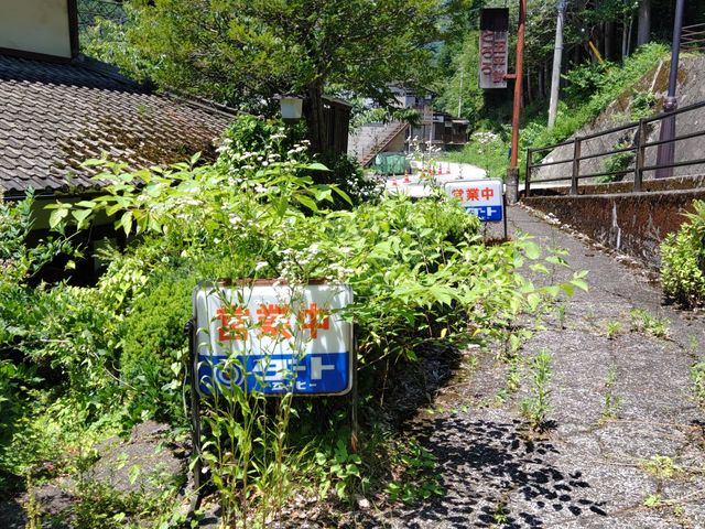 営業中、の看板に喜んで階段を降りましたが途中で雑草に阻まれました。_菅田庵
