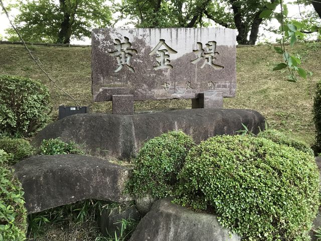 黄金堤