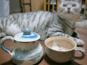シュウさんのArt-Glaze田尻大沢窯の投稿写真1