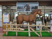 ソフトな乗り鉄たか 59歳さんのとかち帯広空港観光案内所の投稿写真5