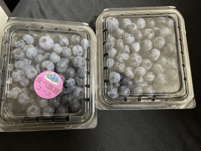 食べ放題のお土産パック_ベリーズファーム
