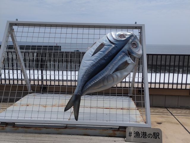 2階からの撮影_漁港の駅 TOTOCO小田原
