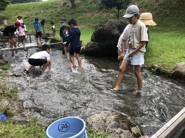りょうさんのあゆ公園の投稿写真1