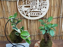 倉敷グリーンファームの写真1