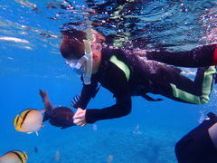 青の洞窟 Dive きよらの写真1