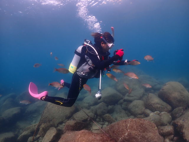 体験ダイビング/目の前に魚達が集まってくる。_クリオネダイバーズ