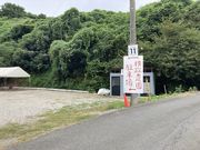 ろんみかさんの横政農園(柏原市観光ぶどうセンター横尾支部)の投稿写真1