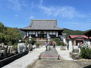 はとやさんの多宝寺の桔梗の投稿写真1