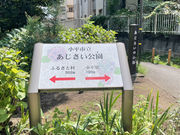 アズサさんのあじさい公園の投稿写真1