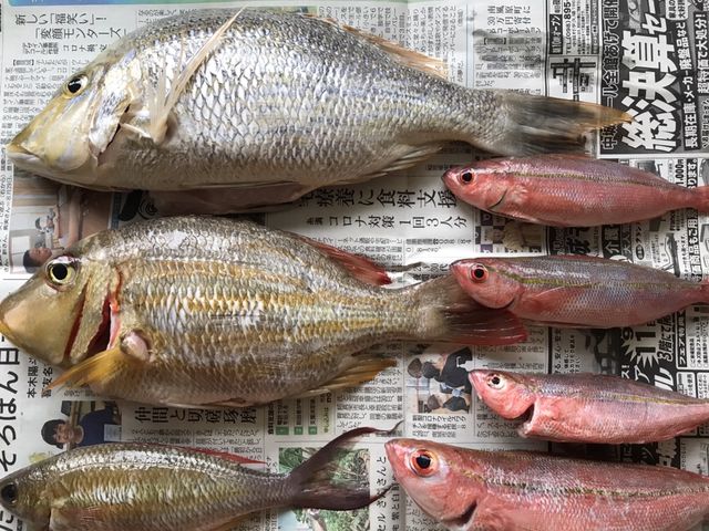 ウロコと内臓は取った後です。これが刺身、唐揚げ、あら汁へとなりました♪_たえ丸