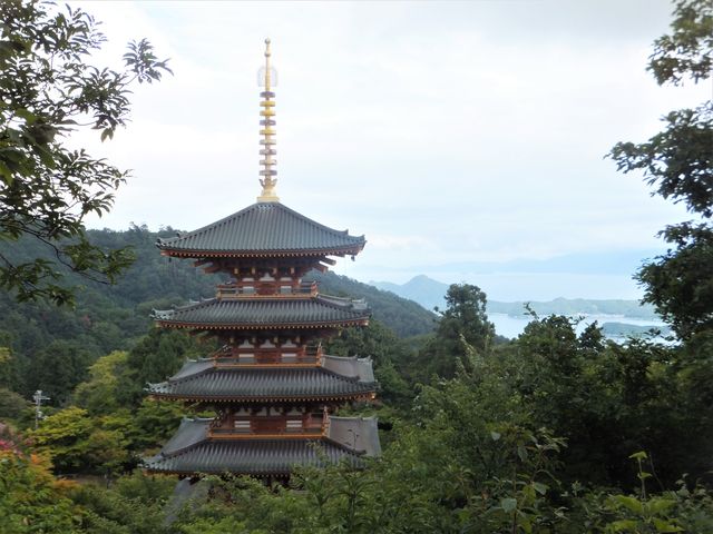 弁天山展望台への経路から見下ろした五重塔_成相寺五重塔