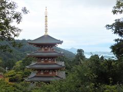 こぼらさんの成相寺五重塔への投稿写真1