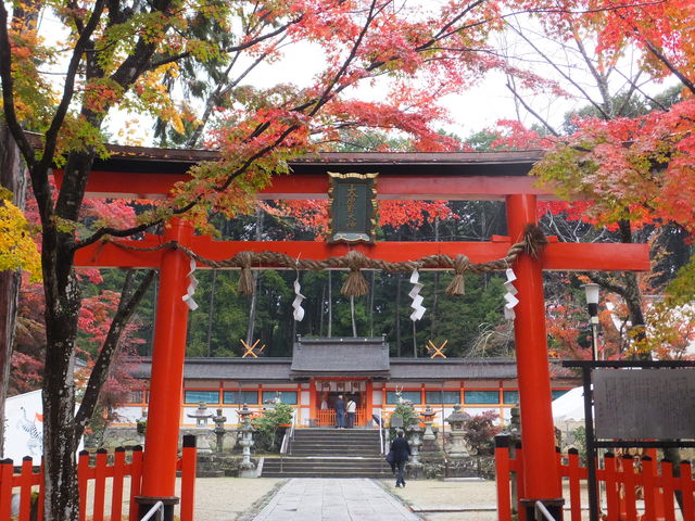 静かな境内_大原野神社