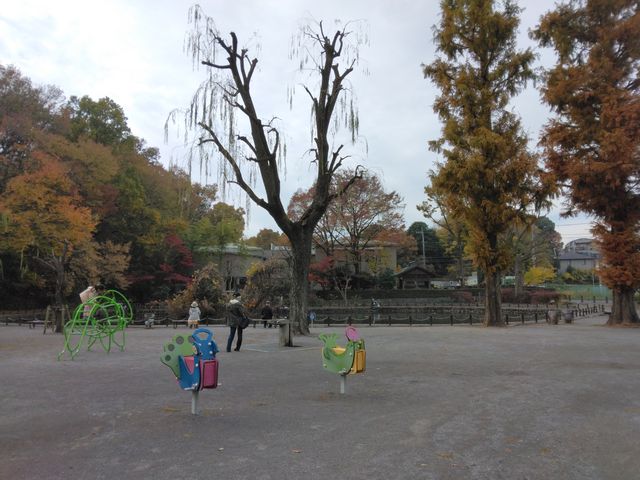 公園横に静かにたたずんでいる資料館です。_板橋区立郷土資料館