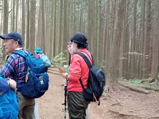 町石付近で_高野参詣道町石道(和歌山県九度山町)