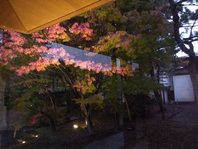 夕方のライトアップ_旧天瑞寺寿塔覆堂