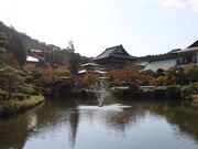 一期一会さんの明王院(岡山県浅口市)の投稿写真3