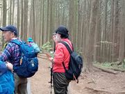 トシさんの高野参詣道町石道の投稿写真1