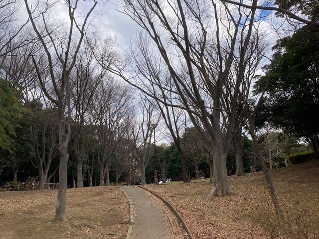 茅ヶ崎市中央公園_茅ヶ崎市中央公園