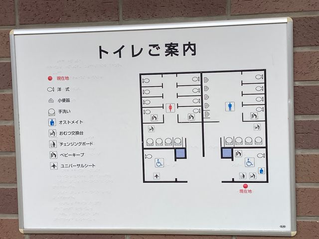 茅ヶ崎市中央公園_茅ヶ崎市中央公園