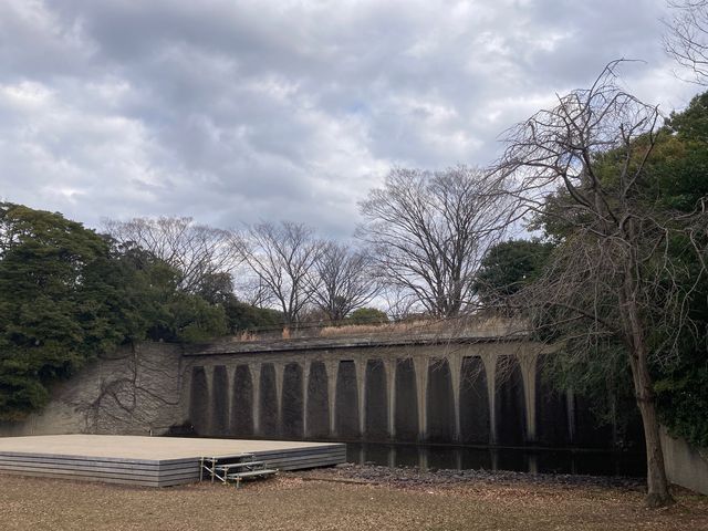 茅ヶ崎市中央公園_茅ヶ崎市中央公園