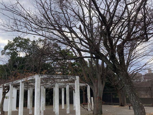 茅ヶ崎市中央公園_茅ヶ崎市中央公園